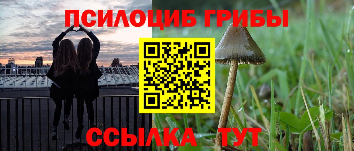 Галлюциногенные грибы мицелий Белорецк